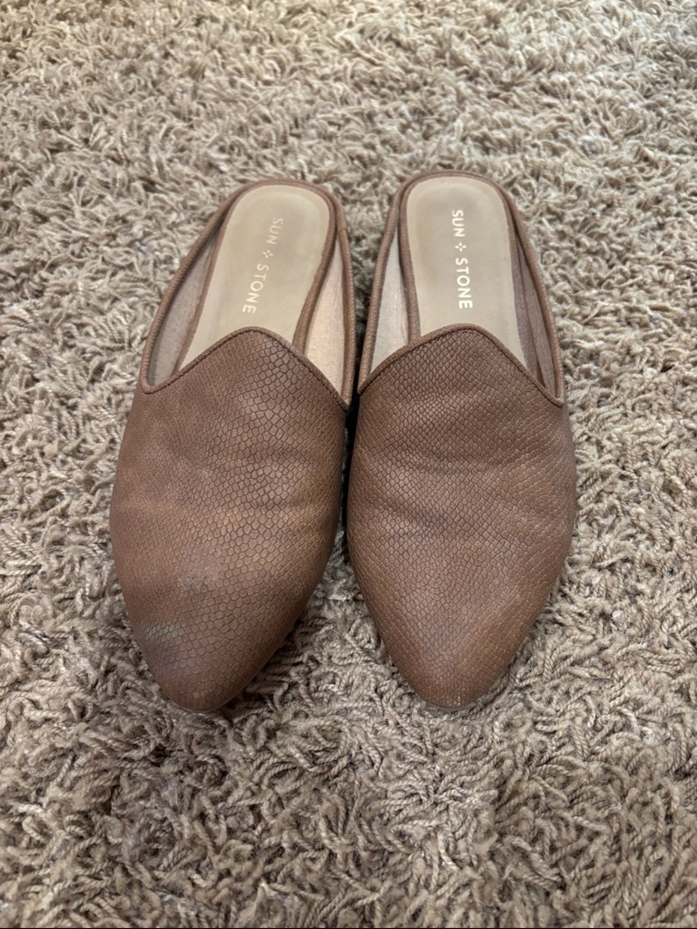 Sun + Stone Brown Pointed-Front Slip-On Mules